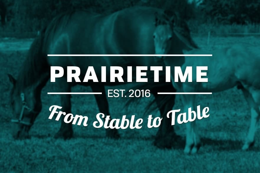 Horsetime.jpg