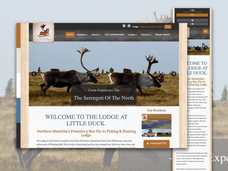 Showcase_LittleDuck